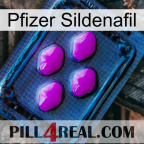 Pfizer Sildenafil 04